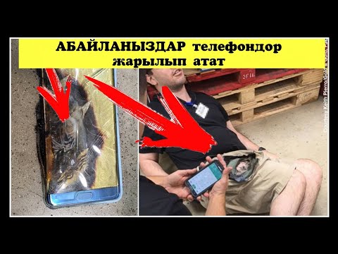 Video: Билатриялардын баары триплобластыкпы?