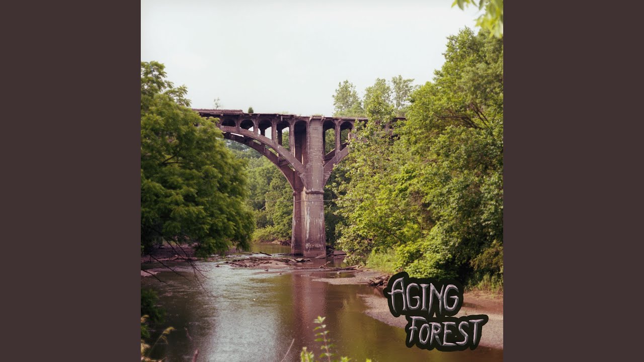 Aging Forest auf YouTube ansehen Aging Forest auf YouTube ansehen