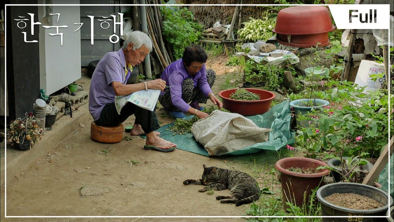 [Full] 한국기행 - 바람의 계곡 2부 오지의 여름 20180619