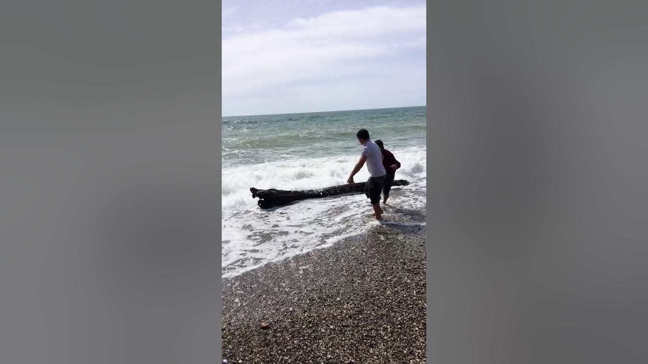 пицунда море шторм. пицунда море шторм. шторм в пицунде сейчас. шторм в пицунде сейчас. шторм в пицунде сейчас.