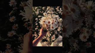 Money Flip - Numb
