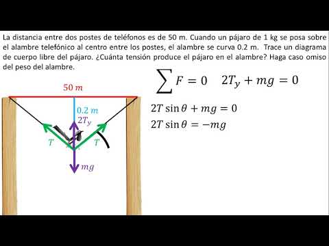 Vídeo: La física newtoniana es posa en majúscula?