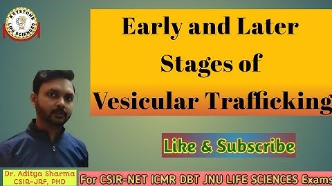 Early and Later Stages of Vesicular Trafficking By Dr. Aditya Sharma CSIR-JRF PHD For CSIR-NET ICMR