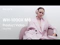 Беспроводные накладные наушники Sony WH-1000XM6 (pink)
