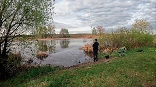 Ловля КАРПА в конце апреля на коммерческом водоеме. Поймал ЩУКУ на классический фидер. Тихий Омут