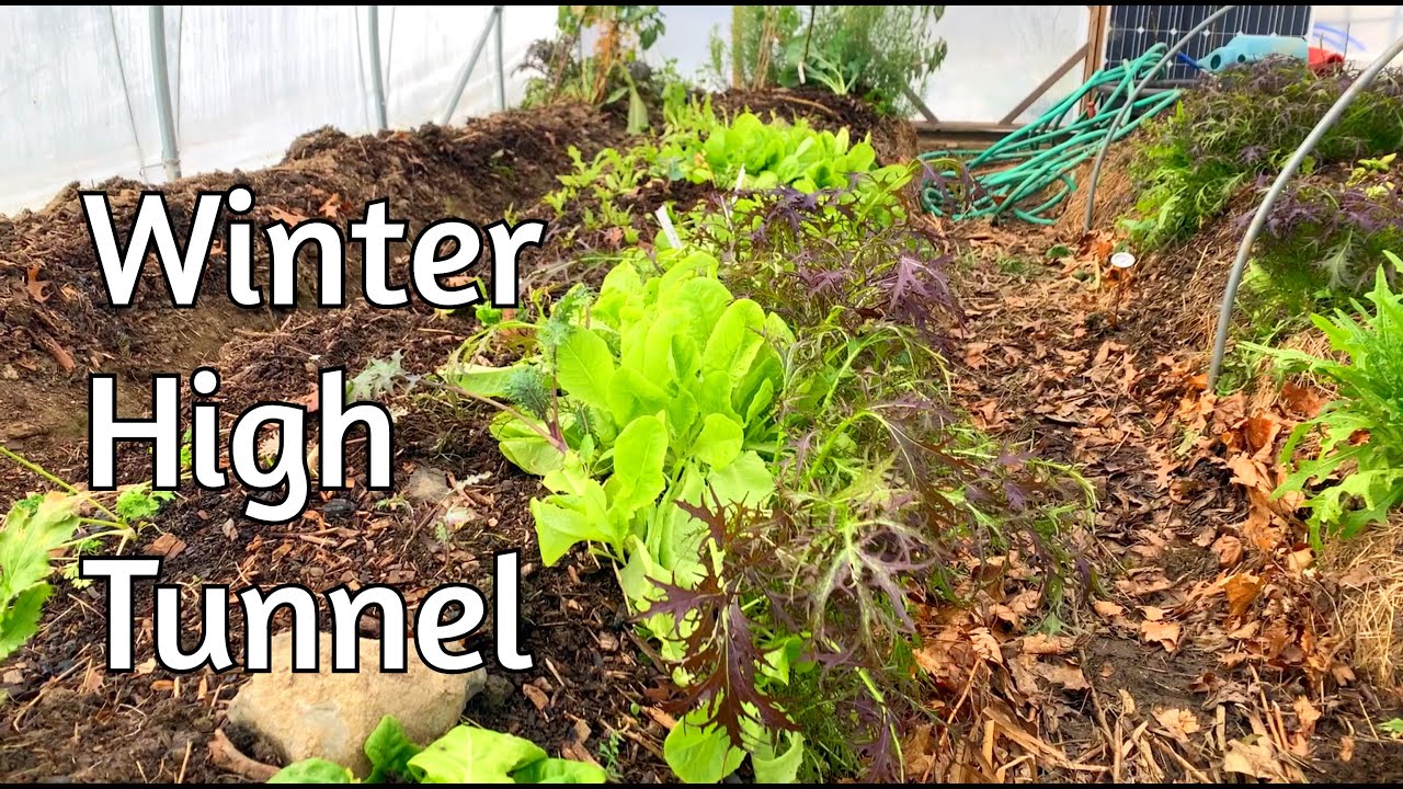 High Tunnel - Winterizing and Updates
