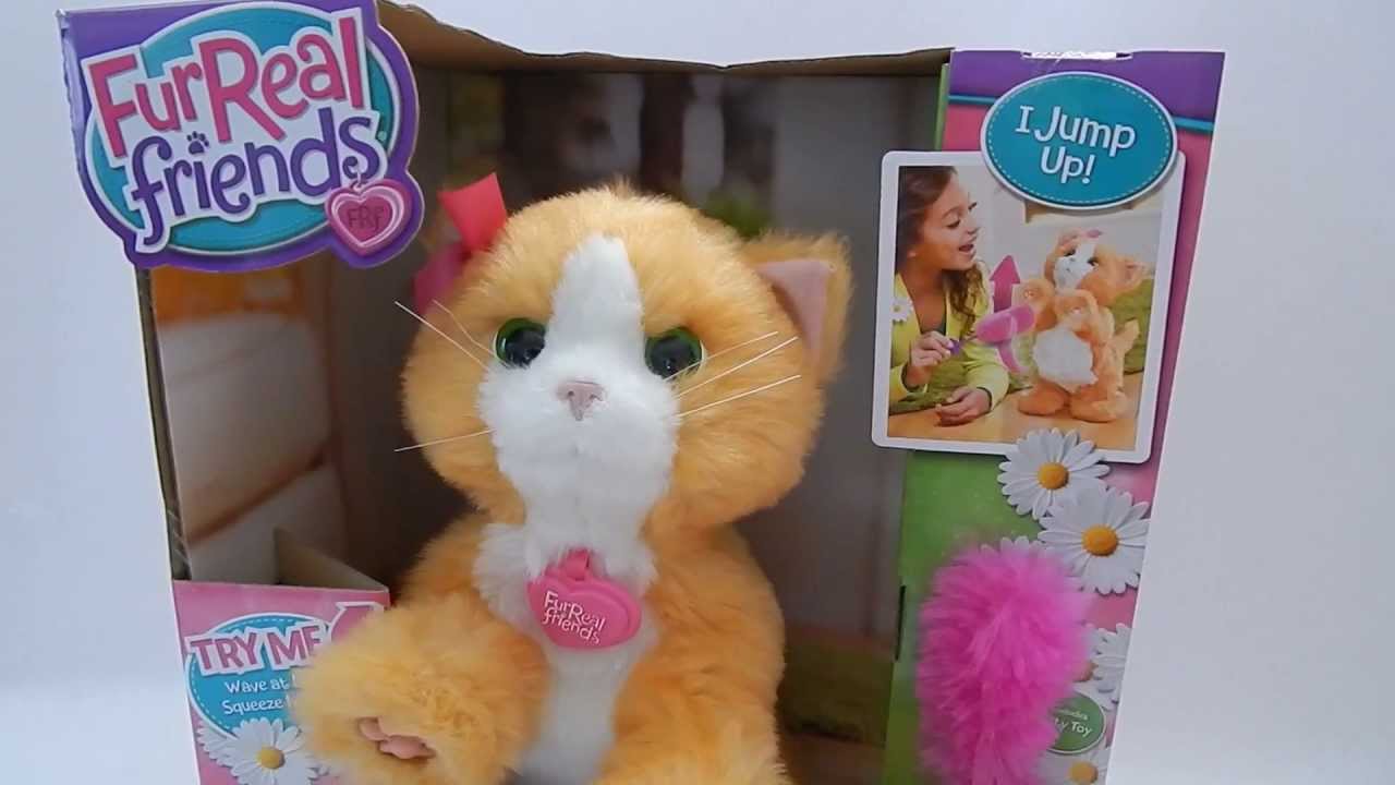 furreal cat daisy