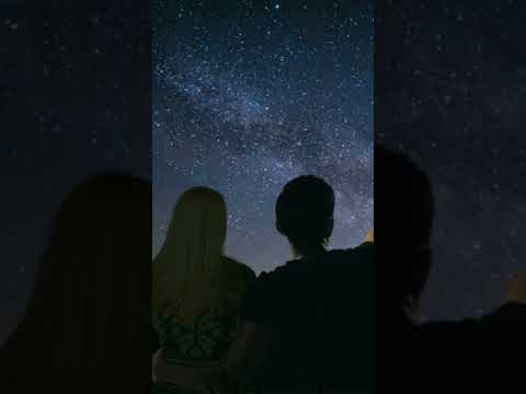 Квітка Цісик Ніч яка місячна