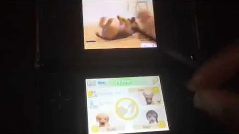 Nintendogs let's play: #1