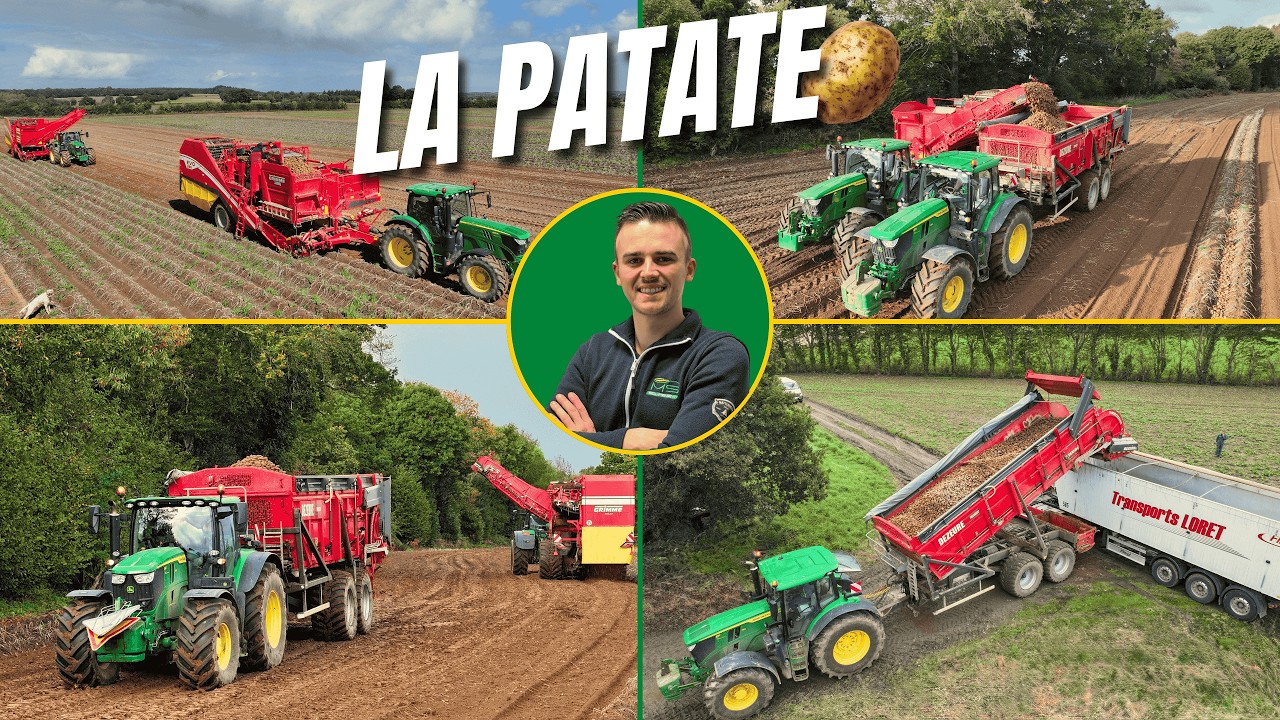 Récolte de pommes de terre 🤠🥔 quand la logistique fait la différence | Chantier XXL 💨💨 #johndeere