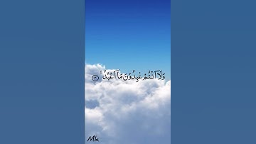 سورة الكافرون بصوت الشيخ خالد الجليل