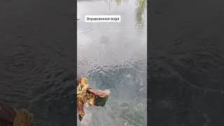 Отравленная вода #пермскийкрай #кизел #шахта #ствол