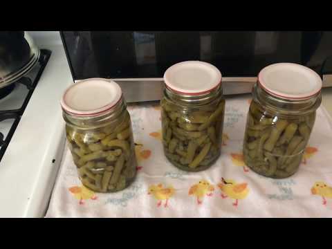 Canning green beans with a newbie. Garden experiment- success or fail