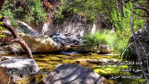 الشيخ محمد جبريل سورة المسد Al Masad Mohamad Jibril