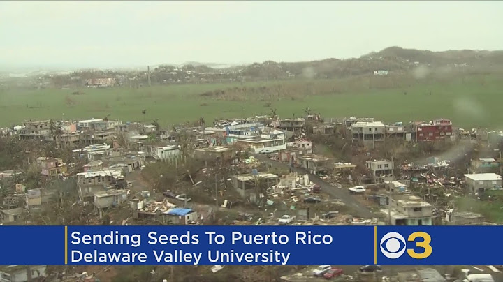 University Finds Unique Way To Help Puerto Rico Recover After Hurricane Maria