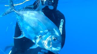 [No. 28] Totally Unexpected! Catching an Enormous Fish While Freediving!