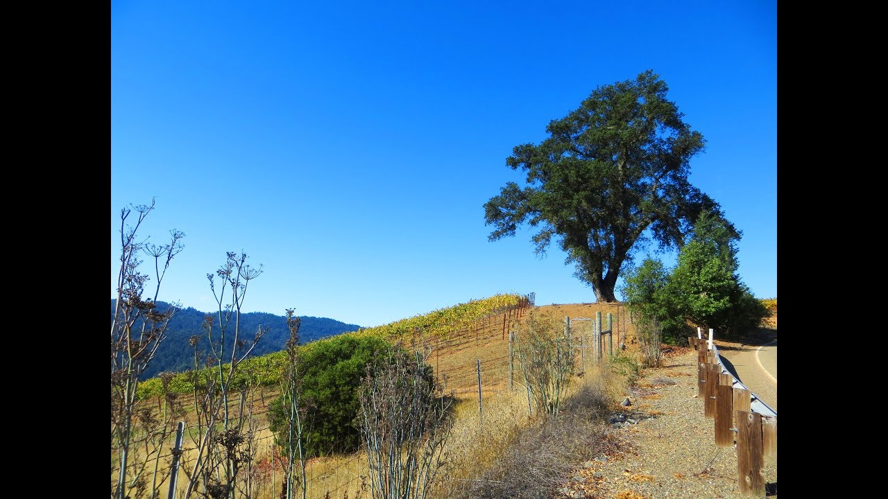 Rockpile Road October 2018 YouTube