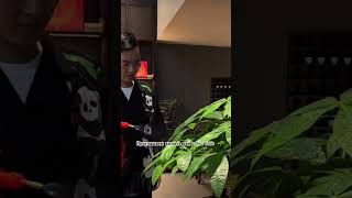 Открытие в ТЦ Охотный ряд  🌱