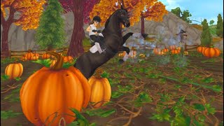 Checking out the new sso update!!!!!🐴🐴🐴
