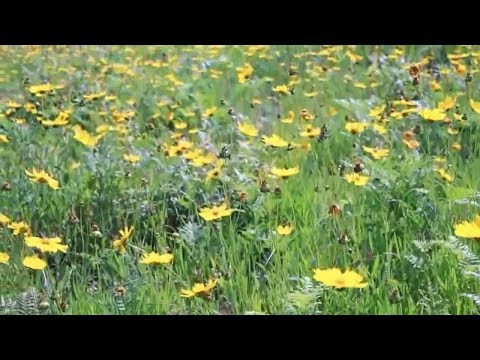 Video BÀI RAP TIẾNG NHẬT HAY NHẤT TỪNG NGHE（おすすめ日本語ラップ） - YouTube