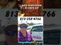 Mold Removal South Tampa FL 813-358-4766 TampaBayMold.net #blackmold #moldremoval