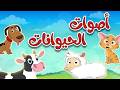 أنشودة أصوات الحيوانات للأطقال   قناة طم طم   