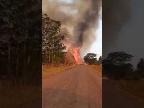 Fuego en Corrientes: cuatro bomberos heridos en Bella Vista