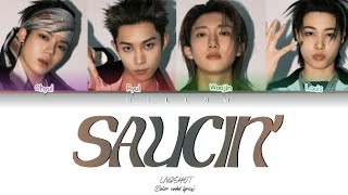 Lngshot  Saucin color Coded S  Han rom eng  Willow