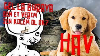 İlk Köpek Nasil Evci̇lleşti̇?