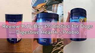Review YoYoBay Probiotics for Dogs Digestive Health - Probiotic Chews for Gut Health, Diarrhea, Itch