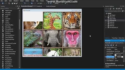 Visual Basic .NET - What animal are you? Tutorial Part 6