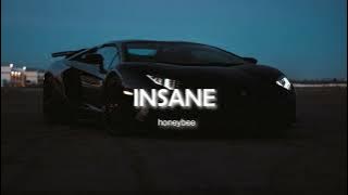 INSANE - AP DHILLON - ( Slowed + Reverb) - honeybee