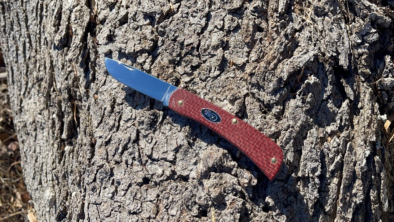2025 Case XX Dark Red Burlap Micarta Sod Buster Jr. in Carbon Steel (Quick Review)