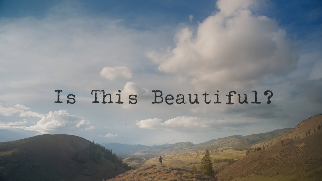 A young artist’s thoughts on beauty | Spring in my rural valley home