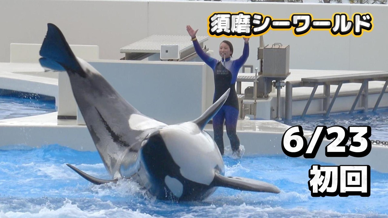 シャチ】6月23日初回オルカパフォーマンス【須磨シーワールド2026