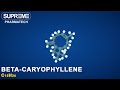 Betacaryophyllene  c15h24  3d molecule