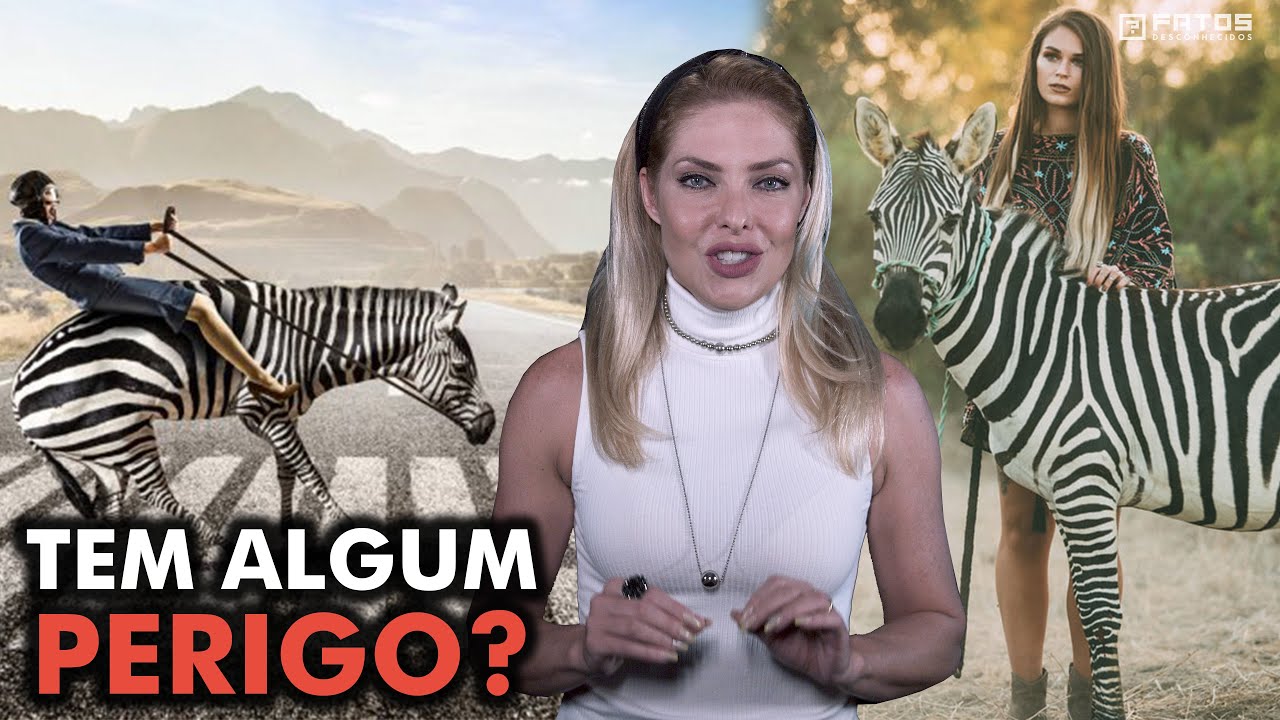 Por que não montamos em zebras?