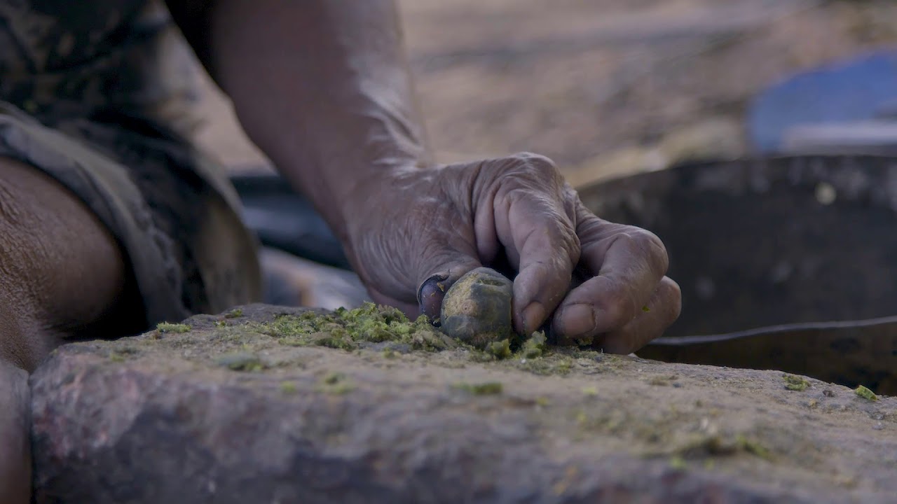 TONKA BEANS STORIES (ENGLISH) YouTube