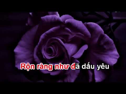 Video NHU DA DAU YEU KARAOKE - youtube
