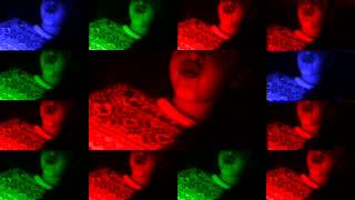 Animals video star xxx Animals video star xxx