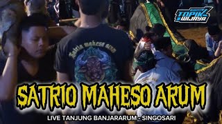 Banteng Ngamok‼️Bantengan SATRIO MAHESO ARUM Full Ontran Ontran Live Tanjung Banjararum Singosari