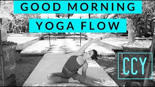 Morning Yoga Flow with Cole Chance