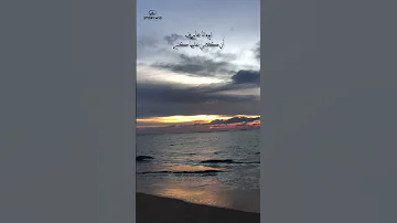 ايوه انا عارف اني كلامي عليها كتير عمرو دياب حالة واتساب 