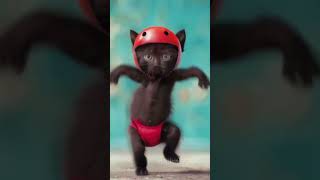 តុកតា#funny #funnyanimal #cute #comedymove #funnyvideo