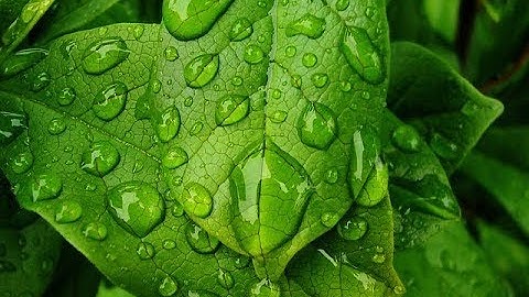 How to Make Water Drops in Photoshop