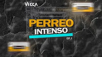 MIX PERREO INTENSO | VOL.2 | Reggaeton Clásico Y Reggaeton Actual | DJ VEGGA