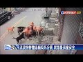 流浪狗群體追貓咬死分屍 民眾憂孩童安全 民視新聞 流浪狗群體追貓咬死分屍 民眾憂孩童安全 民視新聞