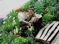 30 вариантов  Как превратить трухлявый  пень в украшение сада