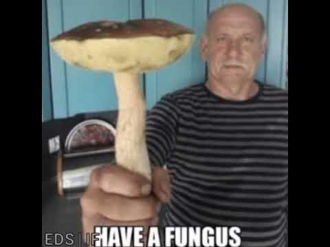 Гриб с лицом мем