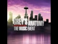Grey's Anatomy - The Music Event - The Story